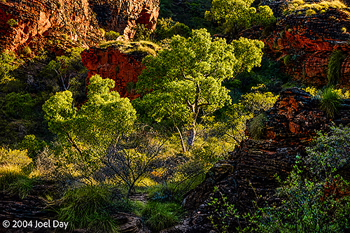 Hidden Valley in Mirima National Park