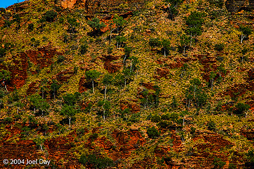 Hidden Valley in Mirima National Park