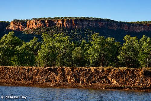The banks of the Victoria River, Northern Territory