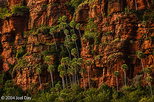 Gregory National Park, Northern Territory 