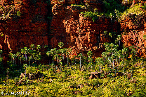 Gregory National Park, Northern Territory 