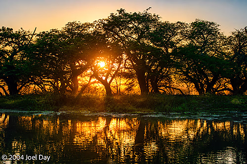 Sunrise over Yellow Water Billabong in Kakadu National Park, Northern Territory