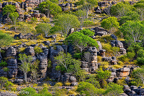 Nawurlandja lookout view over Anbangbang Billabong to Burrungkuy (Nourlangie) and the Arnhem Land escarpment.
