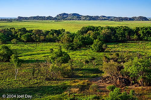 Nawurlandja lookout view over Anbangbang Billabong to Burrungkuy (Nourlangie) and the Arnhem Land escarpment.