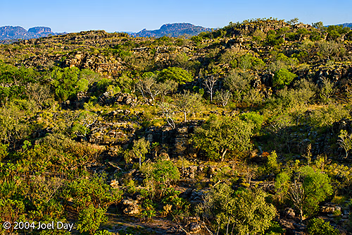 Nawurlandja lookout view over Anbangbang Billabong to Burrungkuy (Nourlangie) and the Arnhem Land escarpment.