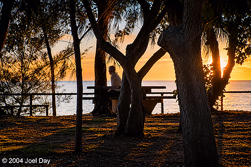 Bicentennial Park in Darwin, Northern Territory