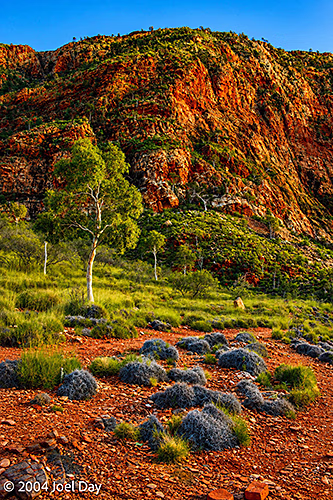 Tjoritja / West MacDonnell National Park, west of Alice Springs, Northern Territory