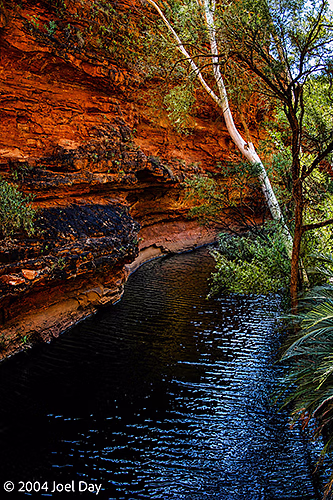 Kings Canyon oasis in Watarrka National Park, Northern Territory