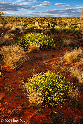 Uluru-Kata Tjuta National Park, Northern Territory