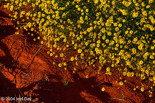Uluru-Kata Tjuta National Park, Northern Territory