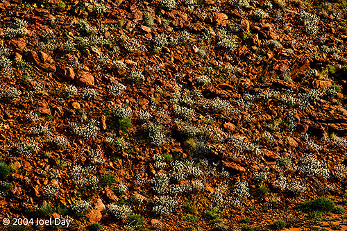 Watarrka National Park, Northern Territory