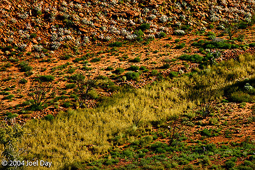 Watarrka National Park, Northern Territory