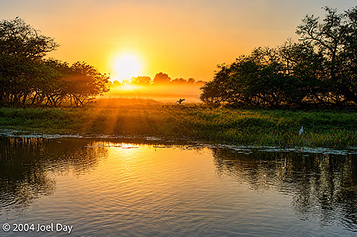 Sunrise over Yellow Water Billabong in Kakadu National Park, Northern Territory