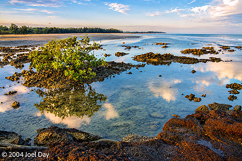 Northern edge of Darwin, Northern Territory