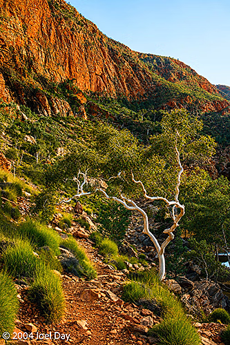 Tjoritja / West MacDonnell National Park, west of Alice Springs, Northern Territory