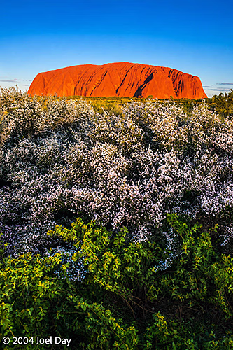 Uluru at sunset, Northern Territory