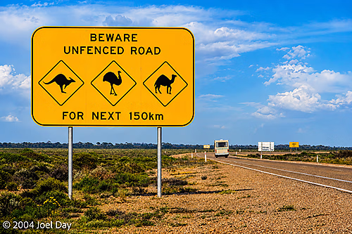 Wildlife warning sign on the Eyre Highway