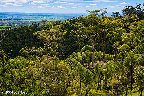 Mount Remarkable National Park, South Australia