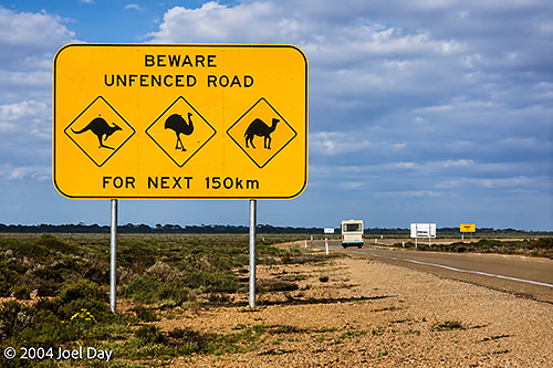 Animal crossing sign along the Eyre Highway, South Australia