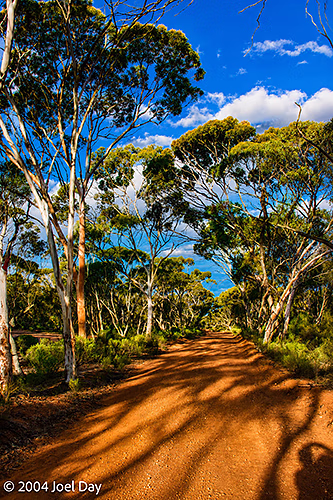 Dundas Rocks Road near Salmon Gums, Western Australia
