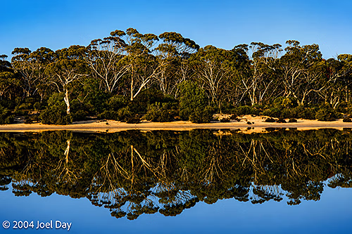 Salt lake along Dundas Rocks Road near Salmon Gums, Western Australia