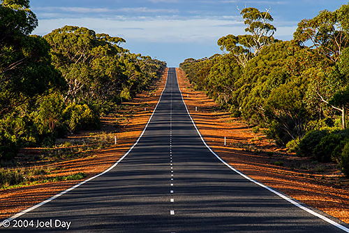 Coolgardie Esperance Highway through Salmon Gums, Western Australia