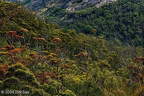 View from the top of Porongurup National Park, near Albany, Western Australia