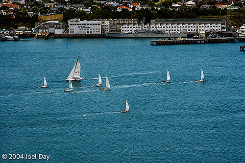 Sailboats in Auckland, New Zealand