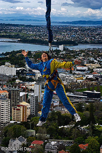 Bungee Jumper on Auckland Sky Tower, Auckland, New Zealand
