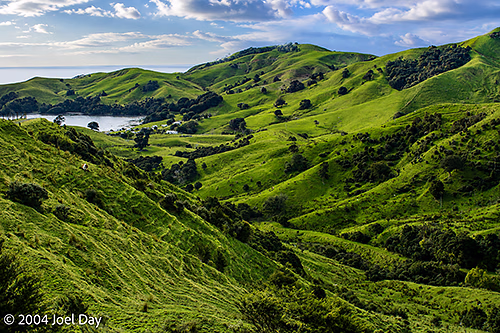 Coromandel Peninsula, North Island, New Zealand