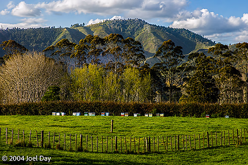 Beehives and farmland along the Coromandel Peninsula, North Island, New Zealand