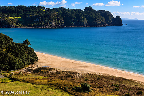 Coromandel Peninsula, North Island, New Zealand