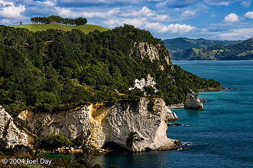 Coromandel Peninsula, North Island, New Zealand