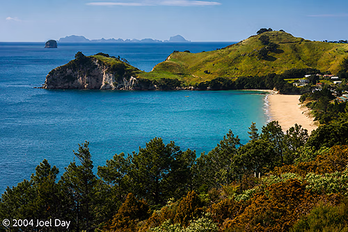 Coromandel Peninsula, North Island, New Zealand