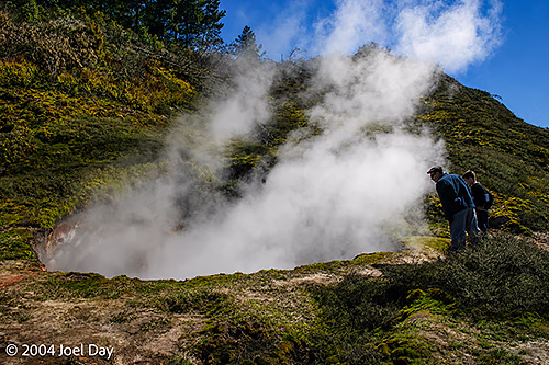 Geothermal Pools around Rotorua, North Island, New Zealand