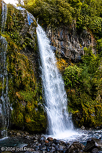 Te Rere o Kapuni (Dawson Falls), Taranaki, North Island, New Zealand