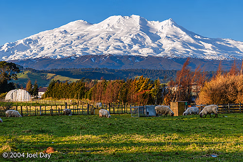 Mount Tongariro, North Island, New Zealand