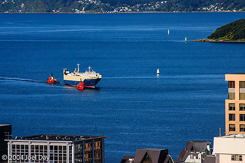 Wellington Harbour, North Island, New Zealand