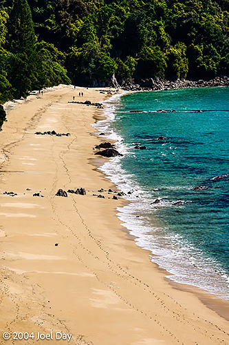 Abel Tasman National Park, South Island, New Zealand
