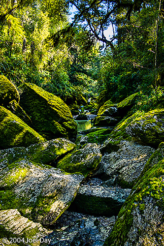 Pororari River, South Island, New Zealand