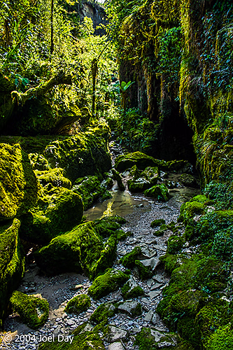 Pororari River, South Island, New Zealand