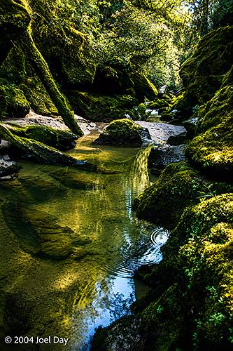 Pororari River, South Island, New Zealand