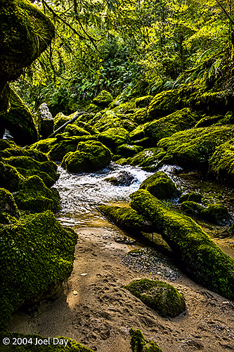 Pororari River, South Island, New Zealand