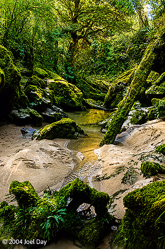 Pororari River, South Island, New Zealand