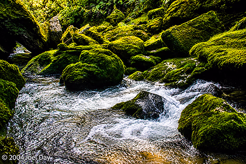 Pororari River, South Island, New Zealand