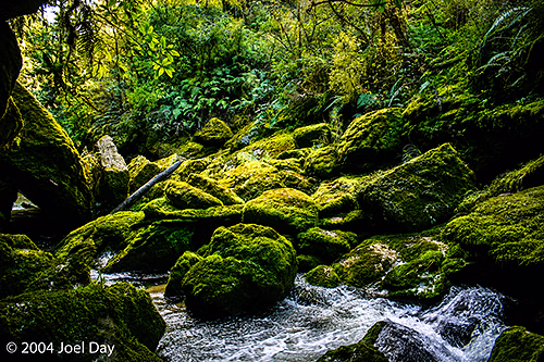 Pororari River, South Island, New Zealand