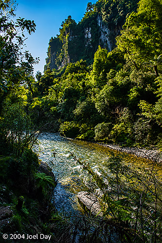 Pororari River, South Island, New Zealand