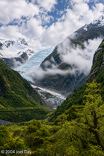 Fox Glacier, South Island, New Zealand