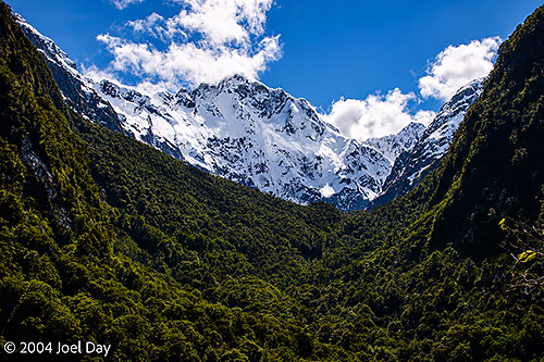 Fiordland National Park, South Island, New Zealand