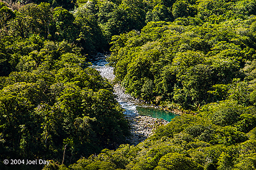 Fiordland National Park, South Island, New Zealand